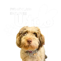 Utoo – Fur-st Class Employee
